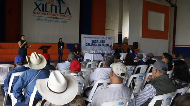 Anuncian programa SEGALMEX a pequeños productores de maíz y frijol.