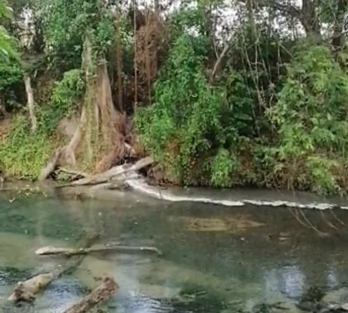 Planta tratadora de Tamasopo contamina el Río Gallinas