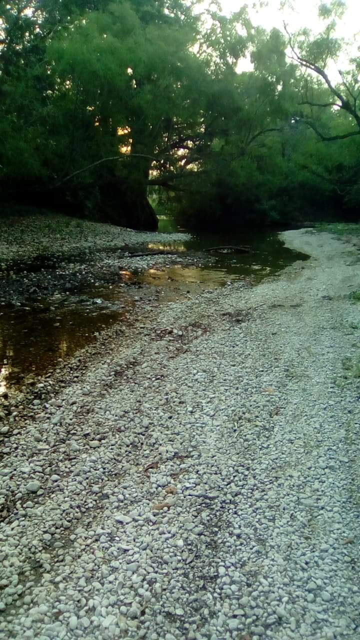 Acusan a productores de caña de Damián Carmona de secar el río de Rascón Acusan a productores de caña de Damián Carmona de secar el río de Rascón