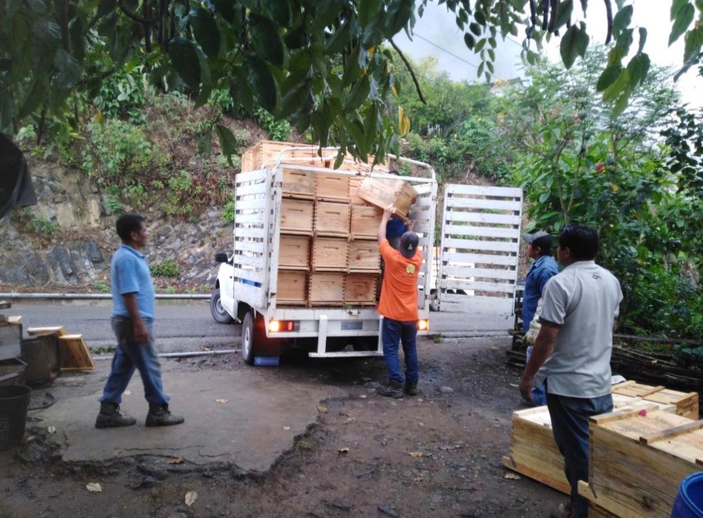 SEDARH ENTREGA 1.6 MDP PARA APICULTORES DE TAMAZUNCHALE SEDARH ENTREGA 1.6 MDP PARA APICULTORES DE TAMAZUNCHALE