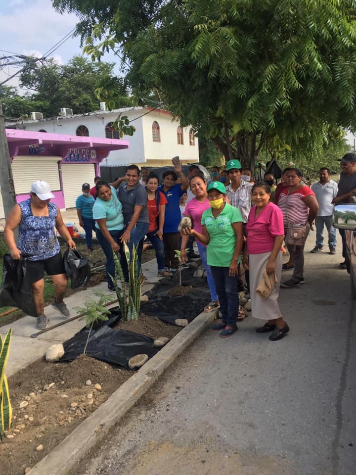Empleados municipales reforestan banquetas de la cabecera municipal de Tanquián.