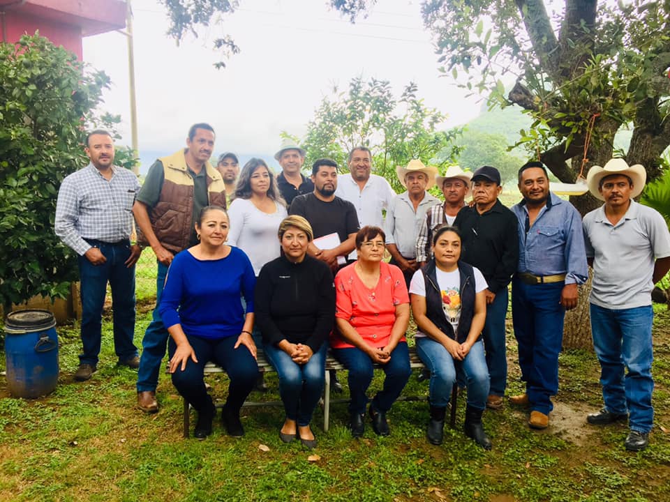 Guadalupe Vivas posible aspirante a la Diputación local por el XI distrito