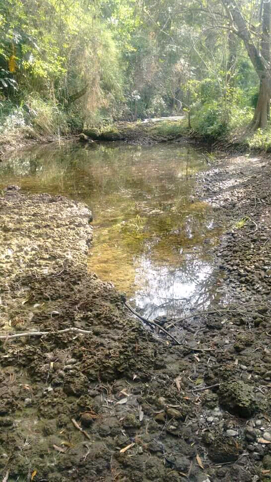 Ejidatarios piden a CONAGUA que se investigue por que esta  seco el río en Rascón