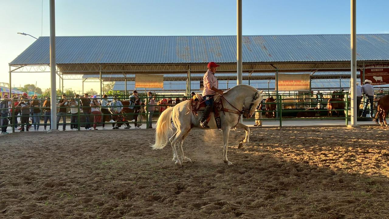 ESPECTÁCULO DE CABALLOS BAILADORES EN LA EXPO GANADERA FENAPO ESPECTÁCULO DE CABALLOS BAILADORES EN LA EXPO GANADERA FENAPO