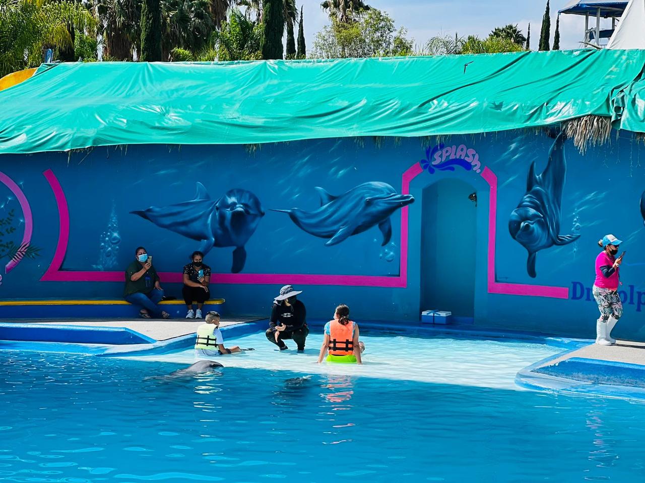DIF MUNICIPAL LLEVA A 12 NIÑOS A TERAPIA DE DELFINOTERAPIA A SILAO DIF MUNICIPAL LLEVA A 12 NIÑOS A TERAPIA DE DELFINOTERAPIA A SILAO