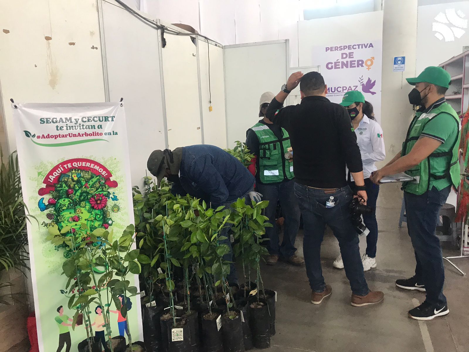 PROMUEVEN FENAPO, SEGAM Y TANGAMANGA REFORESTACIÓN PROMUEVEN FENAPO, SEGAM Y TANGAMANGA REFORESTACIÓN