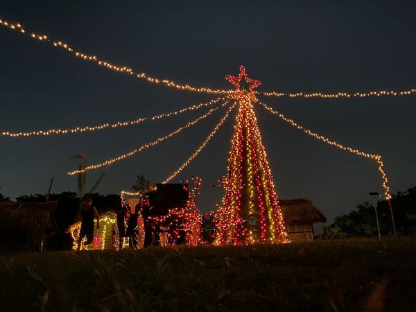 Parque Tantocob encenderá su pino navideño el 8 de diciembre