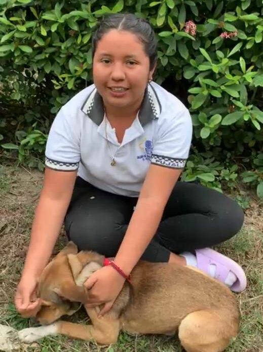 ALUMNOS Y ALUMNAS DEL COLEGIO DE BACHILLERES SE PRONUNCIAN EN CONTRA DEL MALTRATO ANIMAL