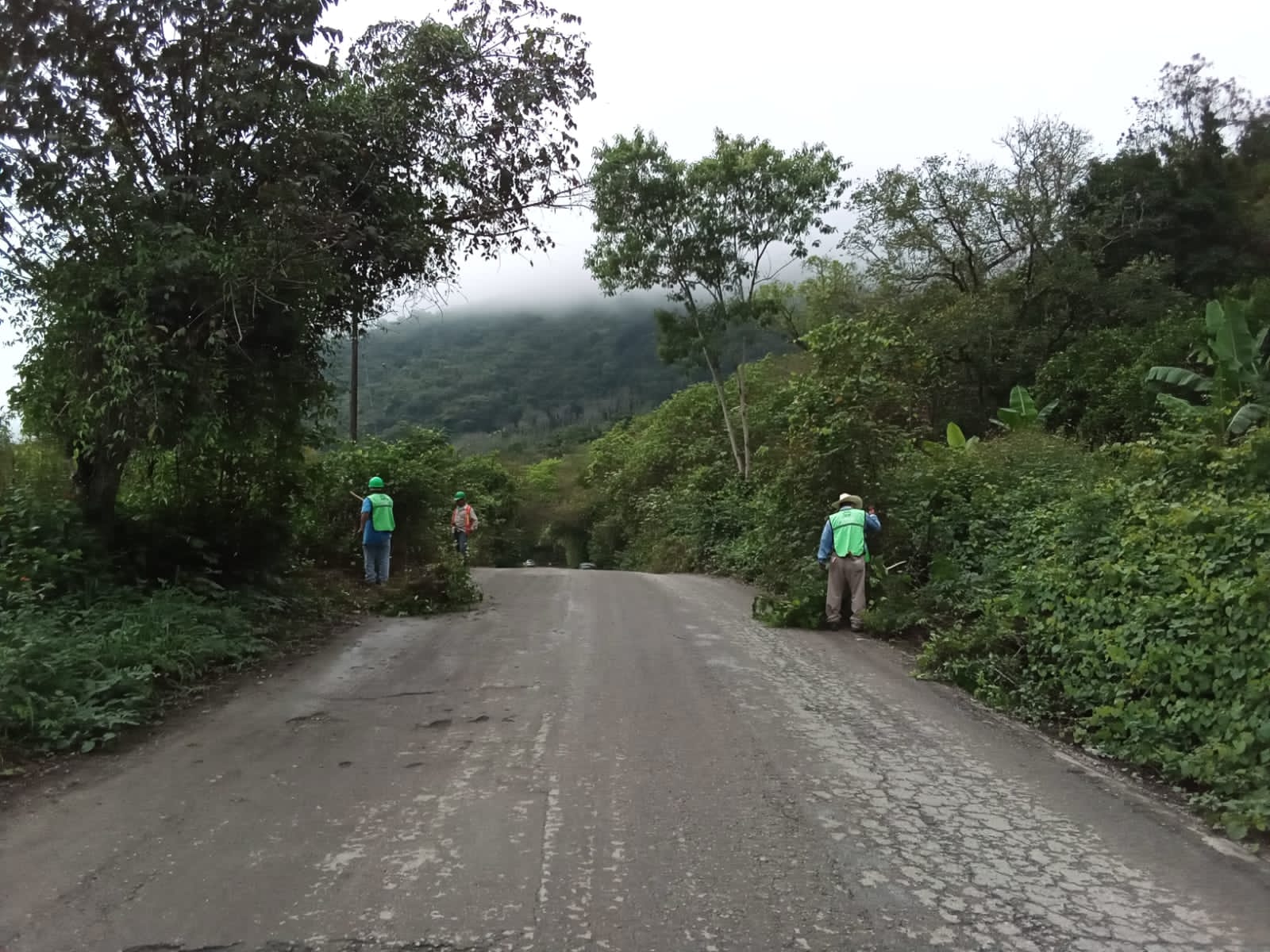 REALIZÓ JEC LIMPIEZA EN CAMINOS DE ACCESO A SITIOS TURÍSTICOS DE LA HUASTECA
