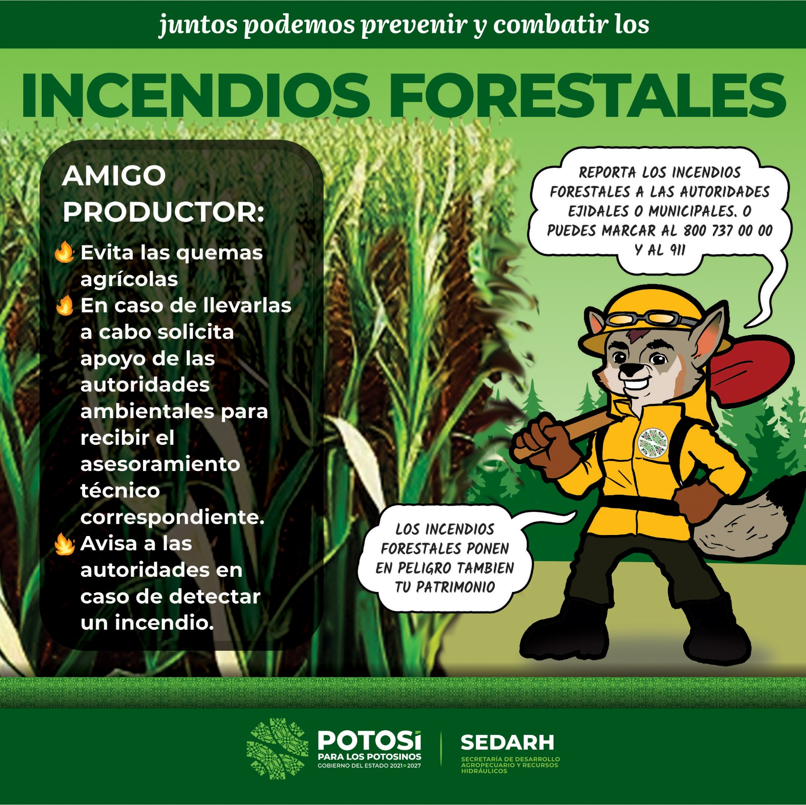 ANTE TEMPORADA VACACIONAL Y DE ALTAS TEMPERATURAS, ACTIVA SEDARH PROGRAMA PREVENTIVO DE INCENDIOS
