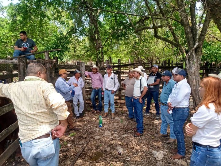 Ganaderos participaron en curso para el control integral de garrapatas en trópico: Desarrollo Rural