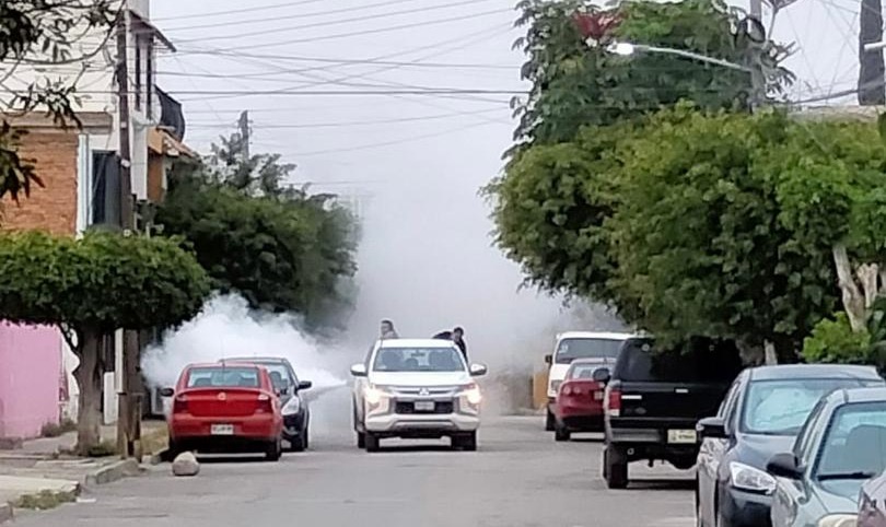 GOBIERNO ESTATAL INCREMENTA ACCIONES DE COMBATE AL DENGUE GOBIERNO ESTATAL INCREMENTA ACCIONES DE COMBATE AL DENGUE