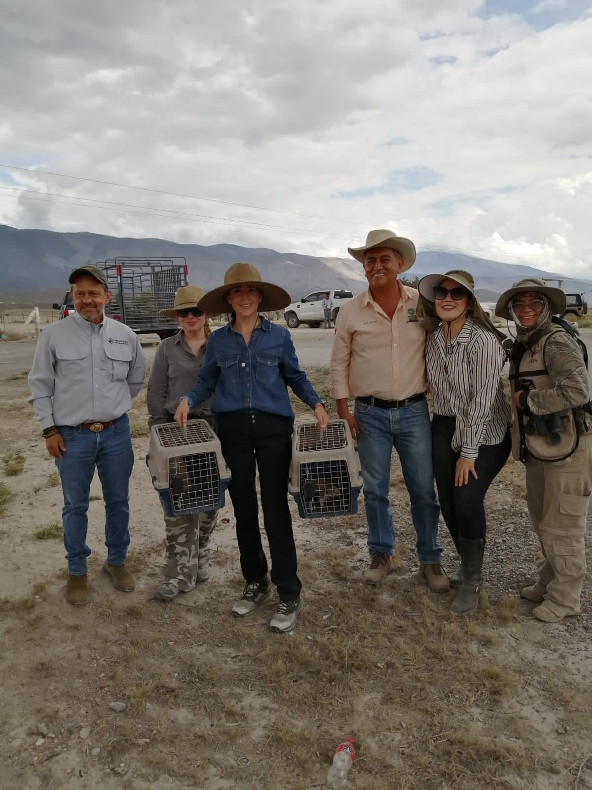 PERRITO DE LA PRADERA REGRESA AL ALTIPLANO PERRITO DE LA PRADERA REGRESA AL ALTIPLANO