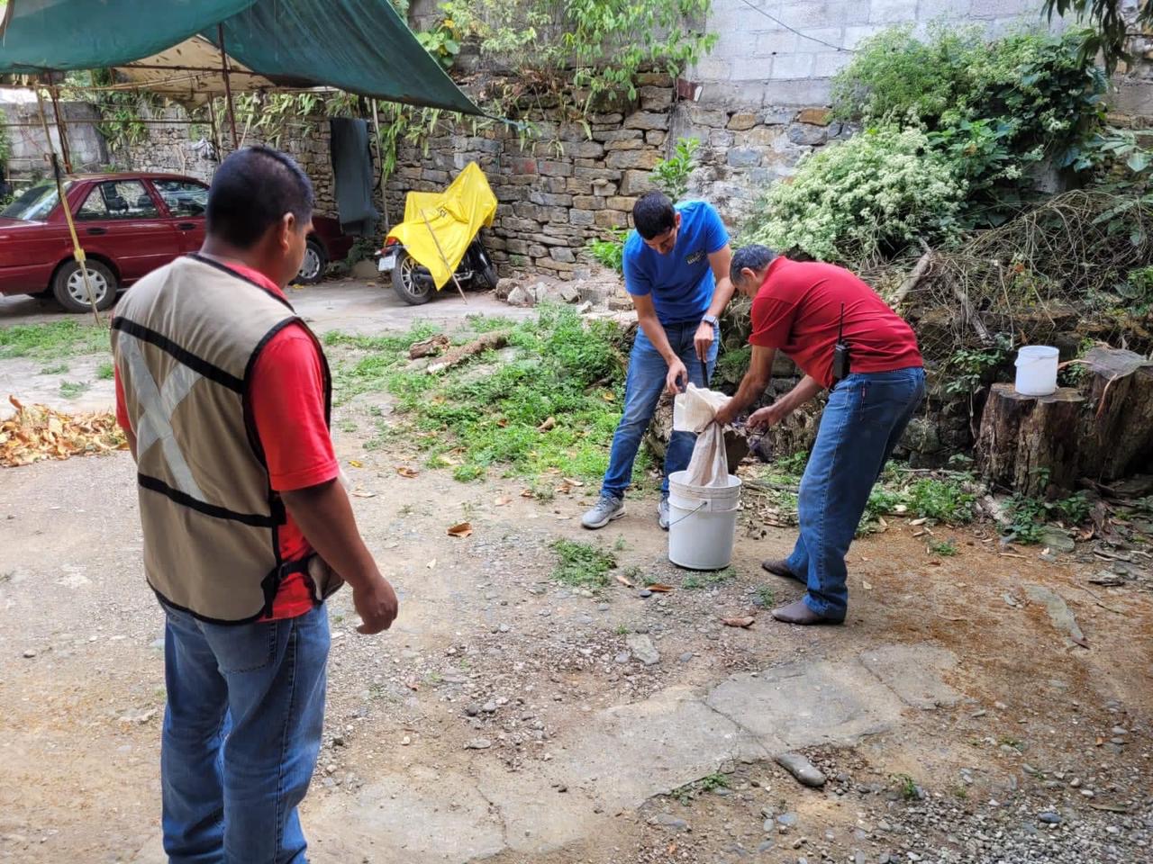 Protección Civil atiende el llamado de la población para la captura de una serpiente