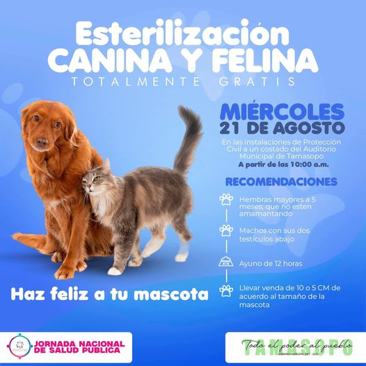 Jurisdicción Sanitaria en coordinación con salud municipal realizarán campaña de esterilización