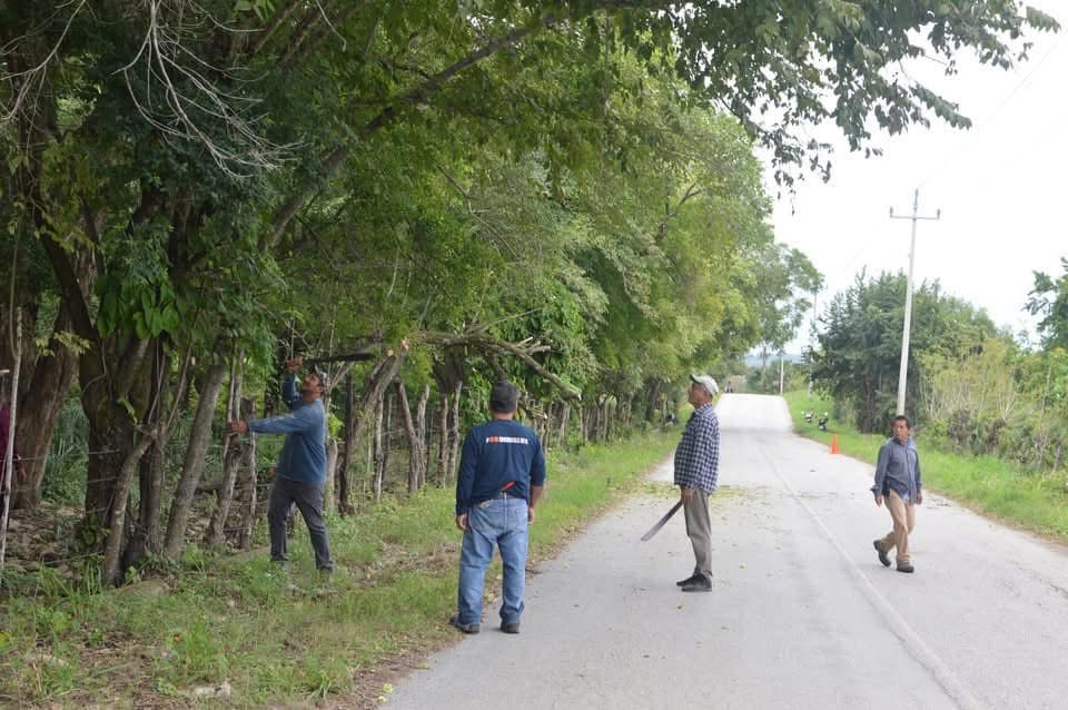 Personal de servicios municipales realiza limpieza en carretera para evitar accidentes