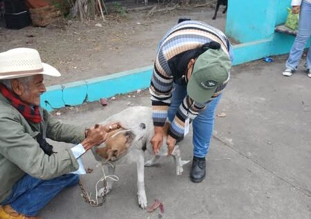 Campaña de esterilización llegará a San Nicolás de los Montes y Saucillo