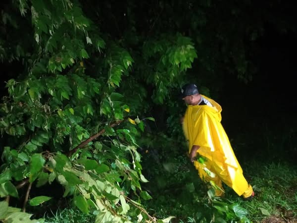 Tormenta provoca caída de árboles e incremento en niveles de ríos: PC
