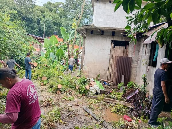 PC y Obras Públicas atiende afectacion tras caida de arbol en la barrio Las Golondrinas