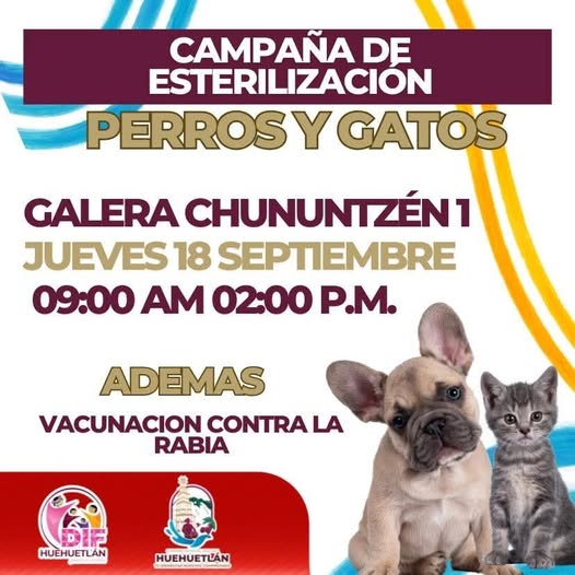 Invitan a Campaña de Esterilización y Vacunación Antirrábica de Perros y Gatos