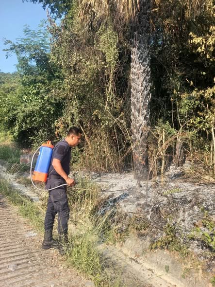 Proteccion civil y seguridad pública sofocan incendio en el tramo Agualoja–El Fortín