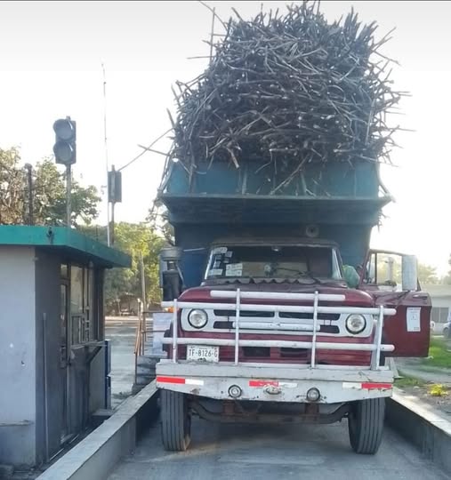 Realizan primera prueba de carga en el batey del Ingenio Plan de Ayala Realizan primera prueba de carga en el batey del Ingenio Plan de Ayala